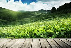 百典壁挂炉